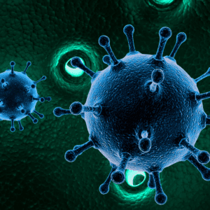 On the Wild Side image