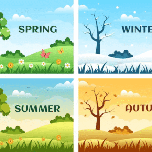 Seasons