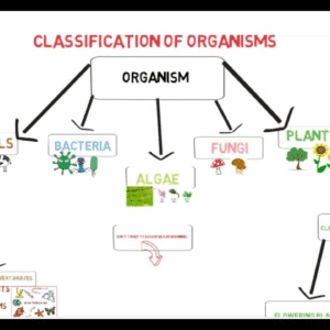 Living Things Including Plants