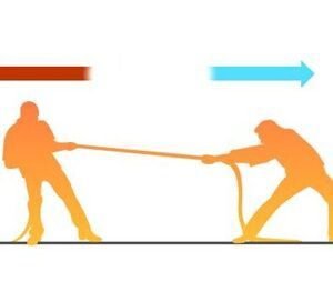 How do forces and matter interact?