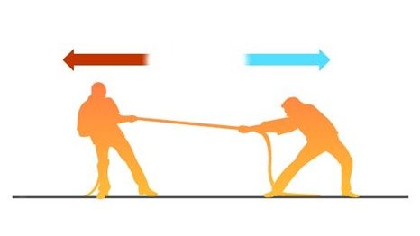How do forces and matter interact?