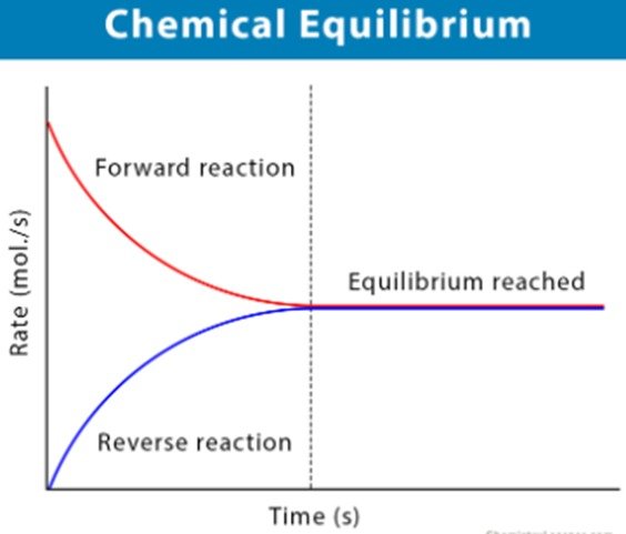 Chemical equilibria